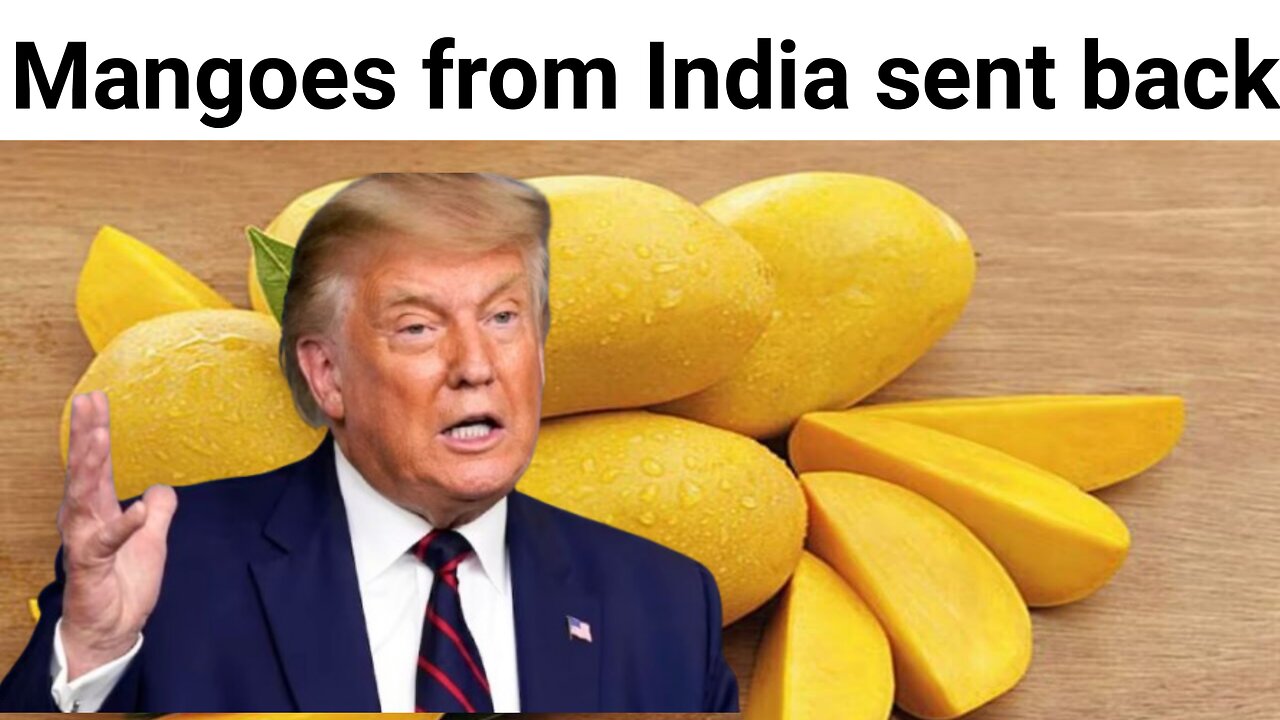 Mangoes from India sent back