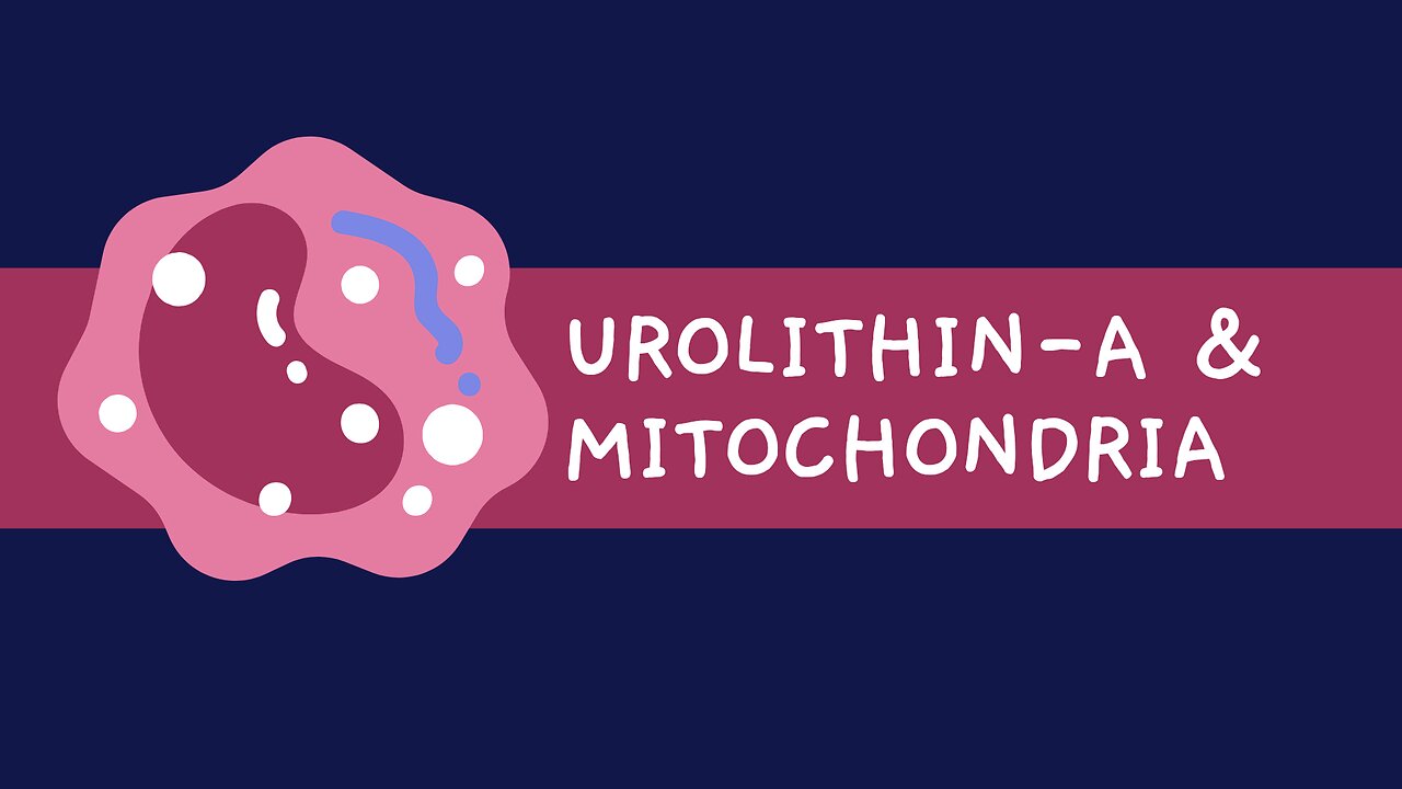 Urolithin-A: impact on mitochondria