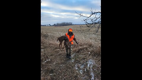 First deer.