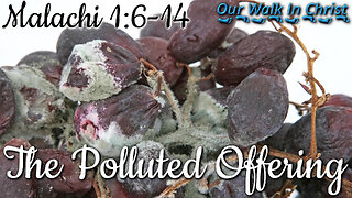The Polluted Offering | Malachi 1:6-14