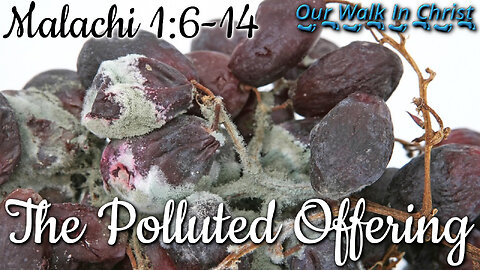 The Polluted Offering | Malachi 1:6-14