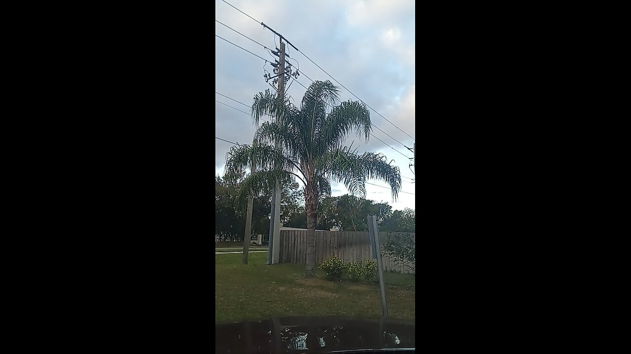 Hidden in Me Part 3 1/9/26