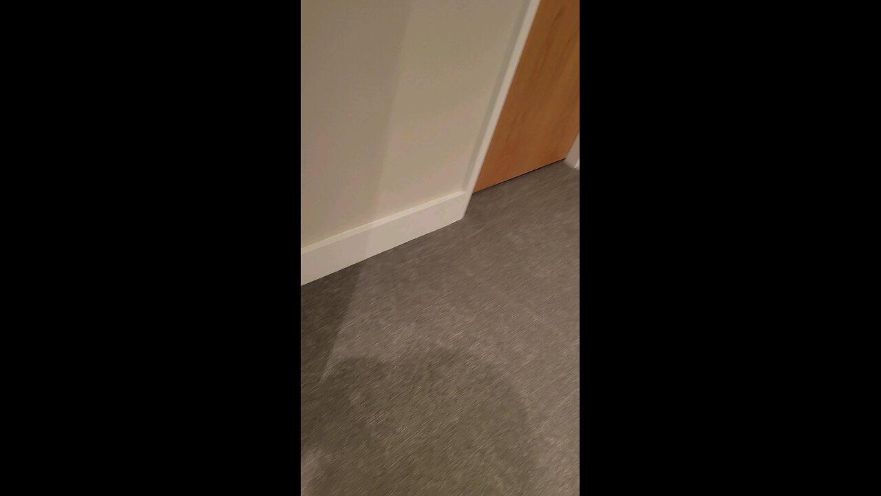 Its that a Parrot? 🤯🤯