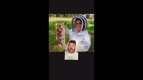 Beekeeping: A Life Extension Profession
