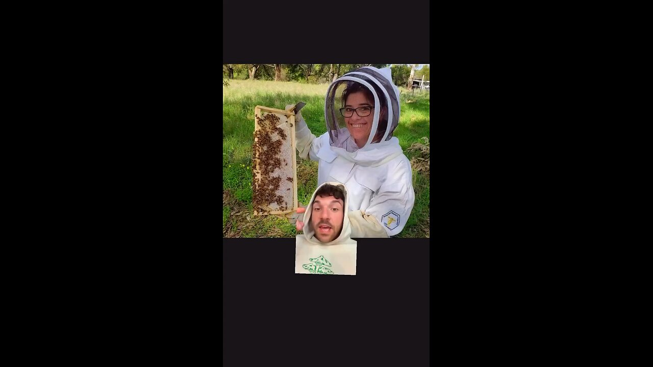 Beekeeping: A Life Extension Profession