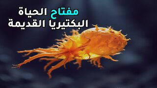 بكتيريا قديمة تنقذنا من نهاية العالم؟ اكتشاف مذهل