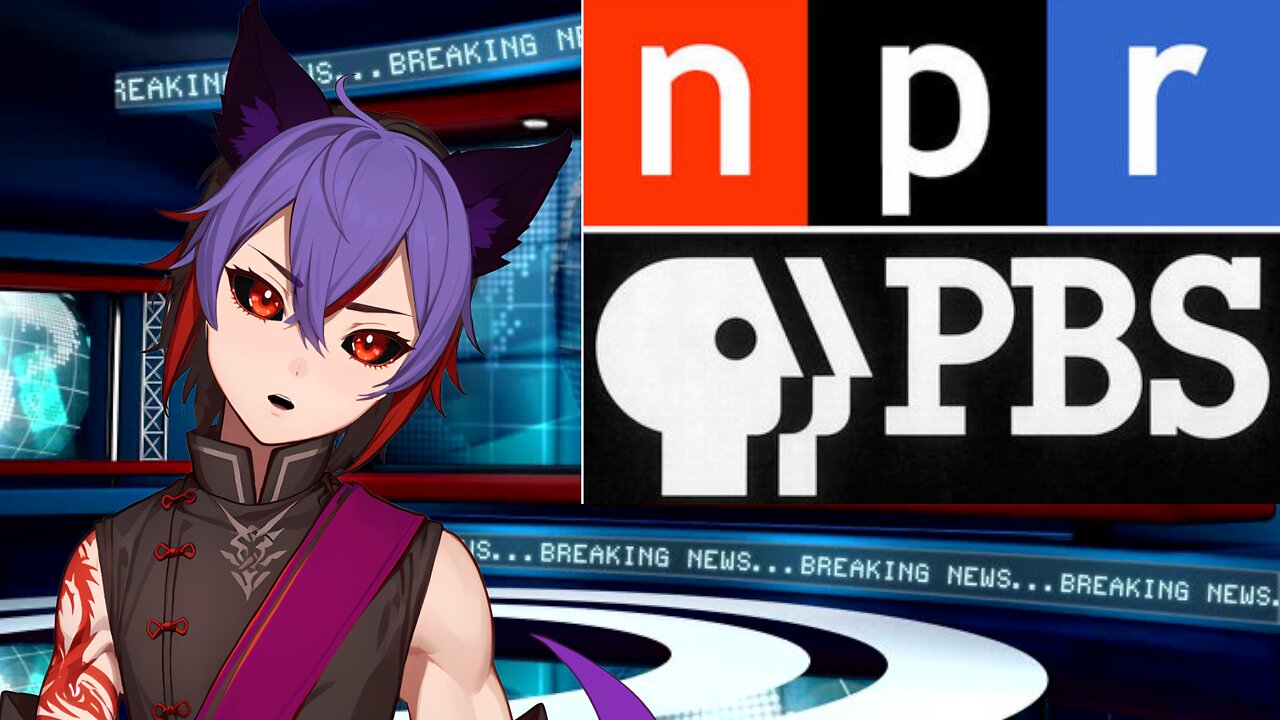 NPR and PBS should they stay or go