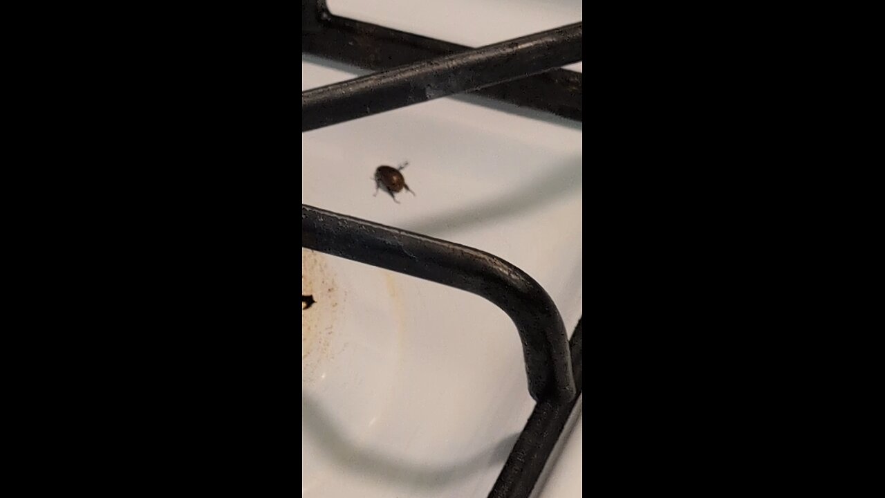 why do I deserve this?