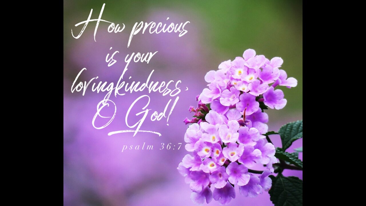 The lovingkindness of God