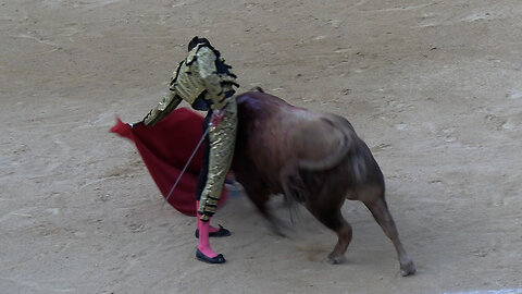 2025 06 20 ALICANTE NOVILLADA PEDRAZA DE YELTES