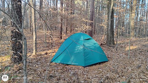 Beautiful Sun 🌞 in the Hoosier National Forest