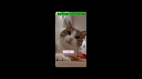 $GTOM Meme cat singing