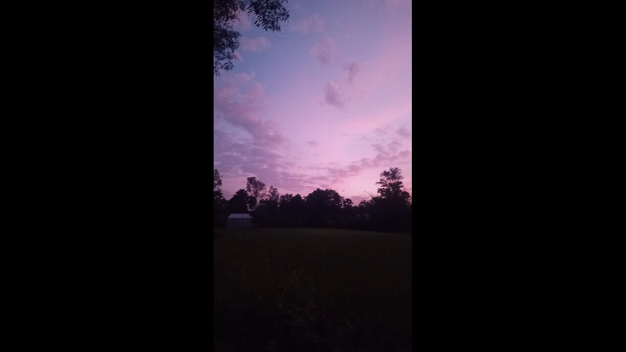 অসাধারণ দৃশ্য #shorts #viral