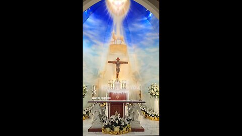 Proper Catholic