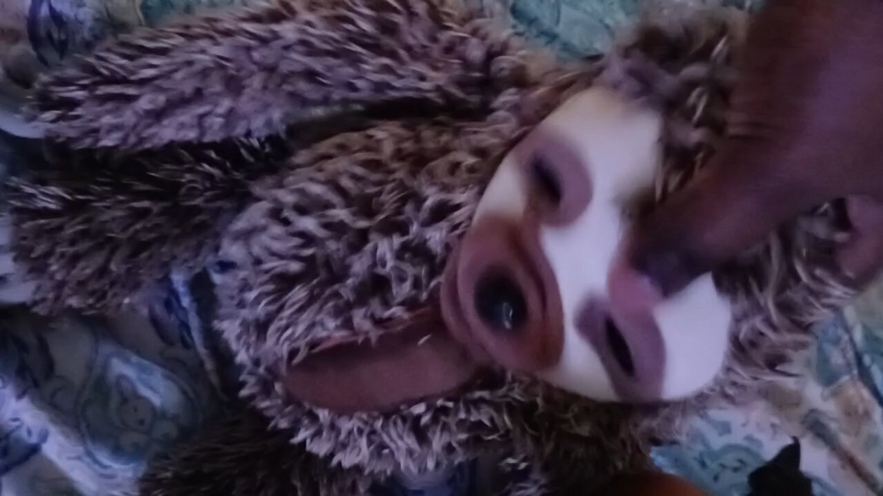 lps mv left right left [ hate video on princeofdarkness1998]