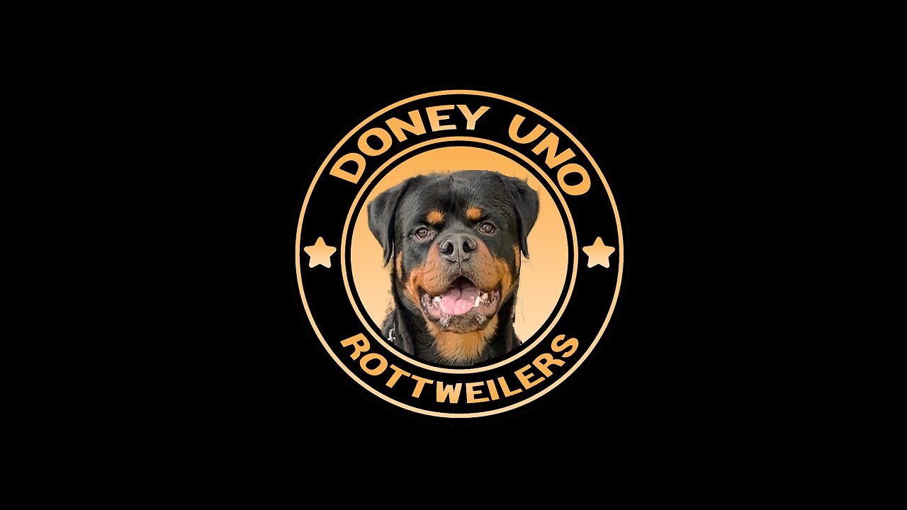 1 PUP FREE