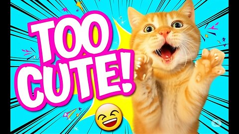 Cats Use 100% Cuteness 😹 | Funniest Cat Videos You’ll Watch Today!