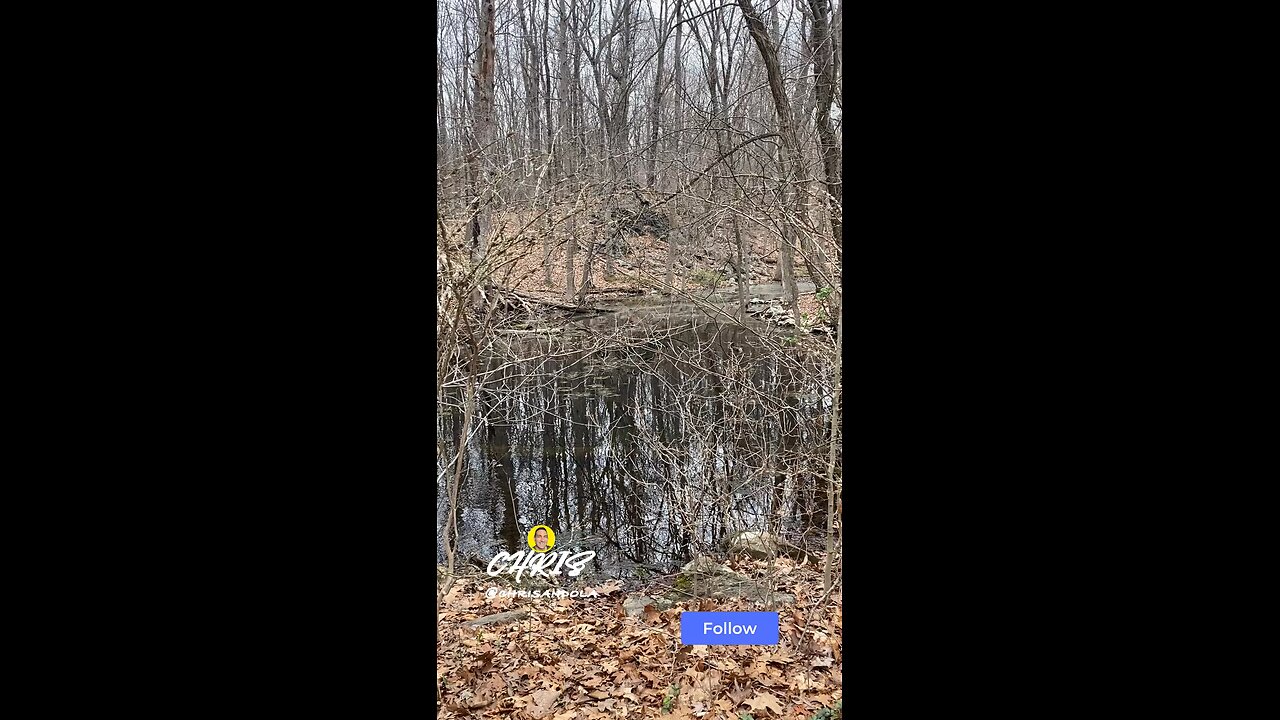 DO YOU LIKE THE WATER?