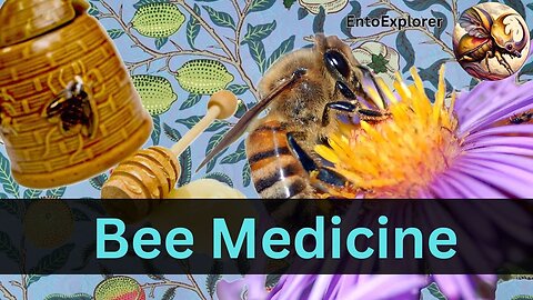 Why Do Bees Benefit So Much From Honey?