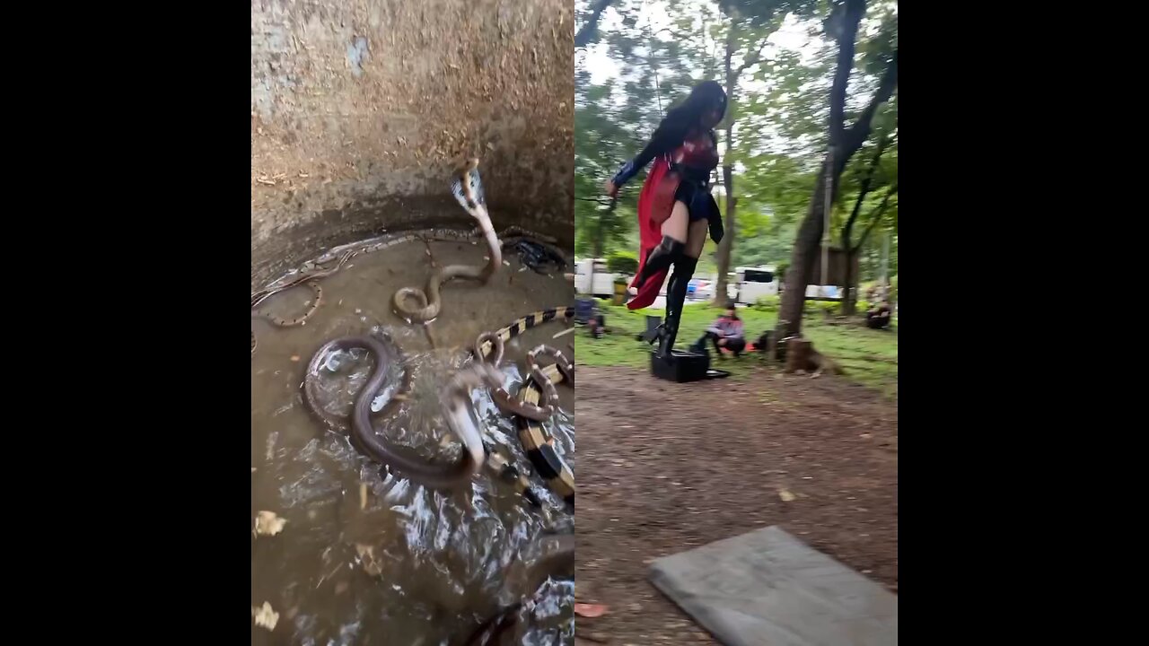 Shooting is taking place on one side. On the other side, there are many snakes.