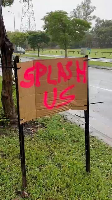 Love All Life Always #186 - This Is The America I Want To Live In! Splash Us And Laugh Hard Y'all!