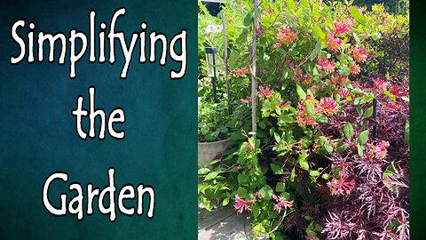 Simplifying Your Garden