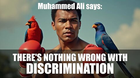 Why Does Discrimination Matter In The Fight For Freedom?