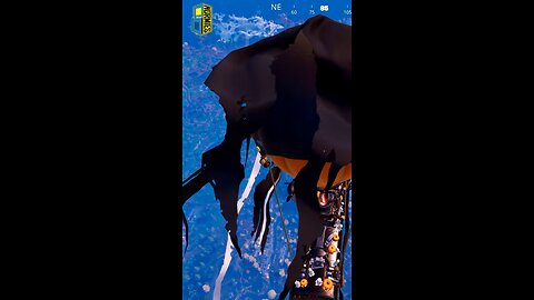 The saucer of The Simpsons is already here 👀 ##fo