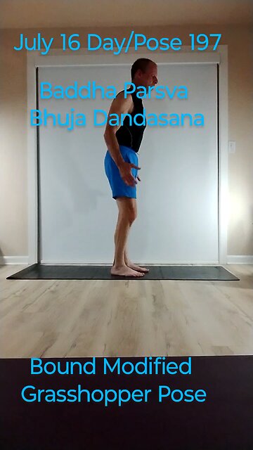 Baddha Parsva Bhuja Dandasana / Bound Modified Grasshopper Pose