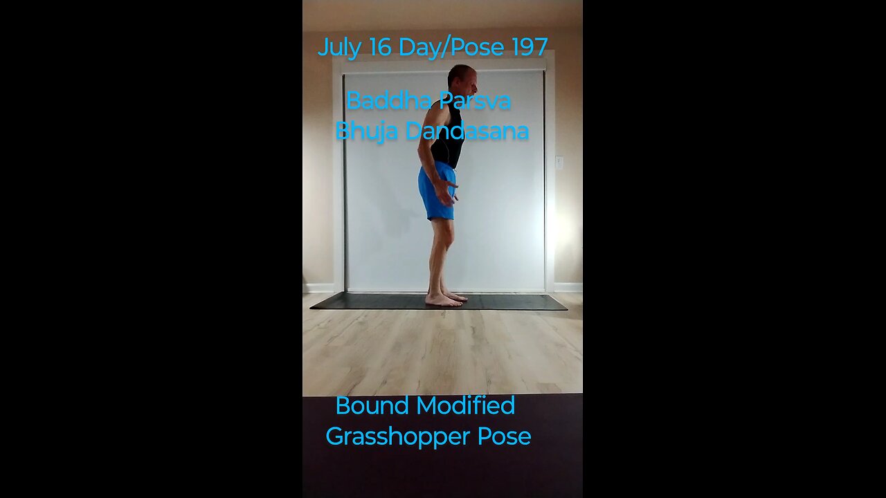 Baddha Parsva Bhuja Dandasana / Bound Modified Grasshopper Pose