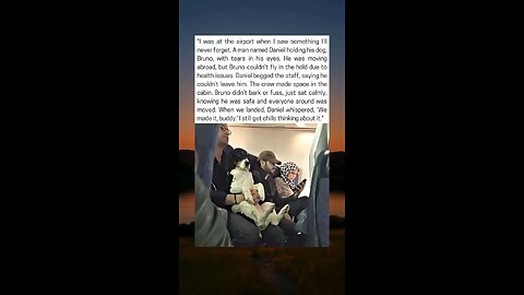 Airline Breaks Rules to Keep Man and His Dog Together
