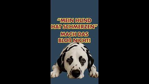 Wenn Hunde unter Schmerzen leiden, dann leiden ihre Halter mit.