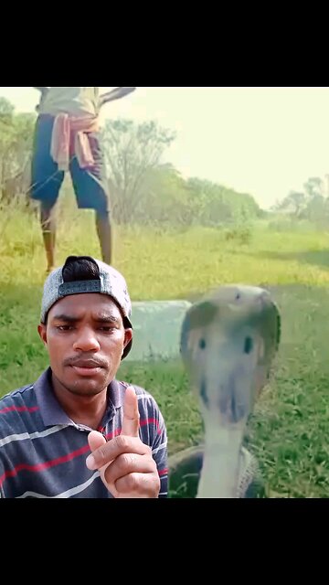 Snake video 🐍 please my face and new please support and follow me