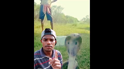 Snake video 🐍 please my face and new please support and follow me