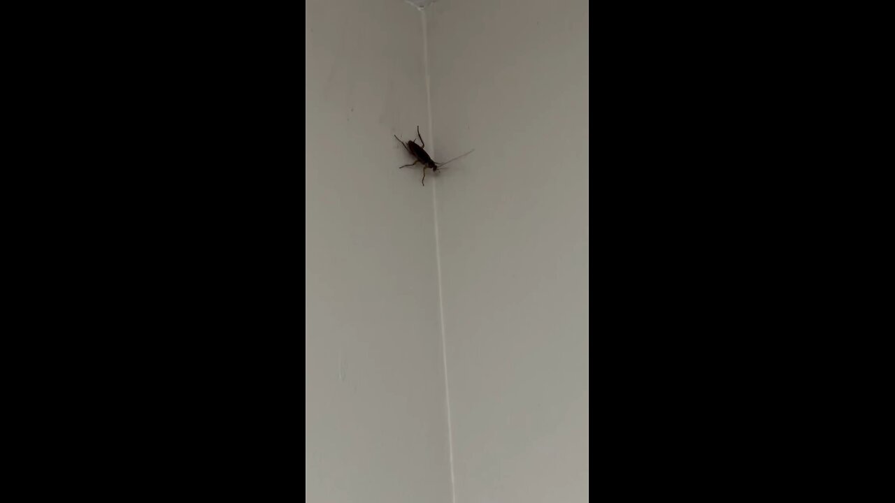 The pest control guy for work is doing a terrible job! 😂🤣😂