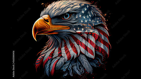 The Somali Fraud in Minnesota is getting larger and more expensive 29/12/25 #NewYears #Minnesota