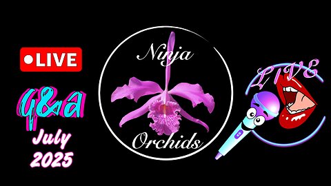 Monthly Q&A FAQ July 2025 Comments Review Orchid Related or Not Diverse Topics #ninjaorchids