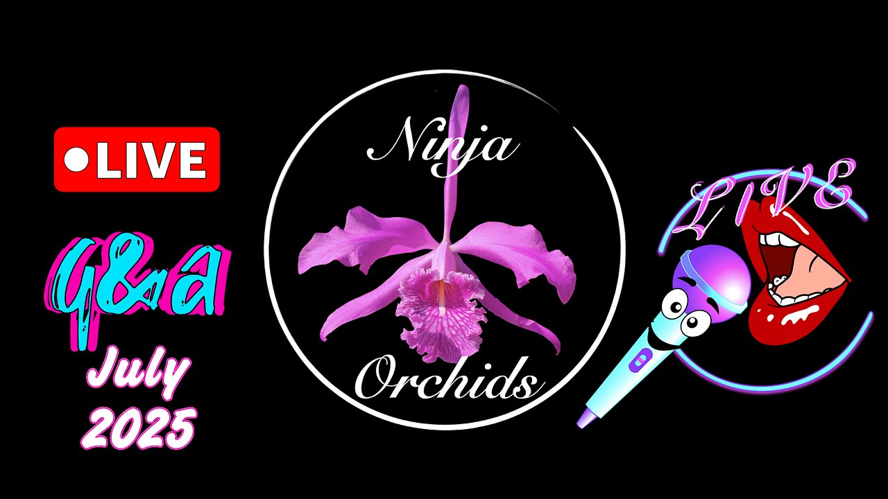 Monthly Q&A FAQ July 2025 Comments Review Orchid Related or Not Diverse Topics #ninjaorchids