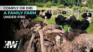 COMPLY OR DIE: A FAMILY FARM UNDER FIRE