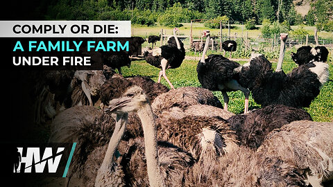COMPLY OR DIE: A FAMILY FARM UNDER FIRE