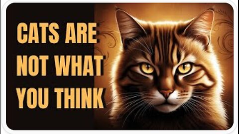 Edgar Cayce’s PROPHECY About Cats Is HAPPENING NOW - House of Spirique