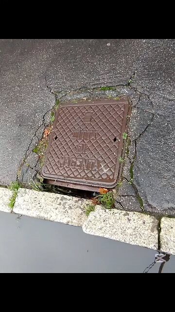 che succede a Magenta?