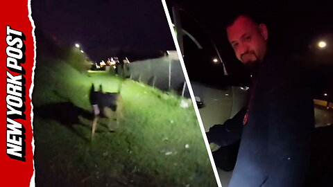 K-9 dies after being shot by illegal immigrant during standoff; suspect killed by officers