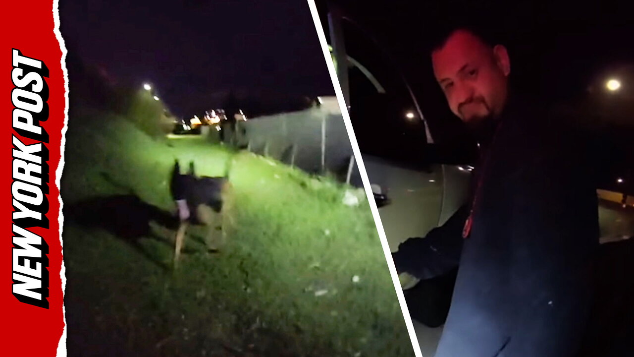 K-9 dies after being shot by illegal immigrant during standoff; suspect killed by officers