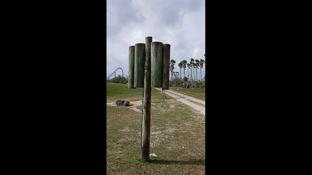 Reticulated Girraffe Busch Gardens Safari