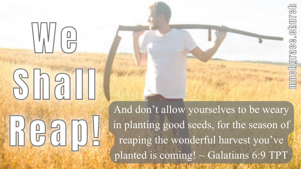 We Shall REAP! | Nicholas Roberts