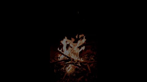 You must burn to shine — only then can you become pure gold.