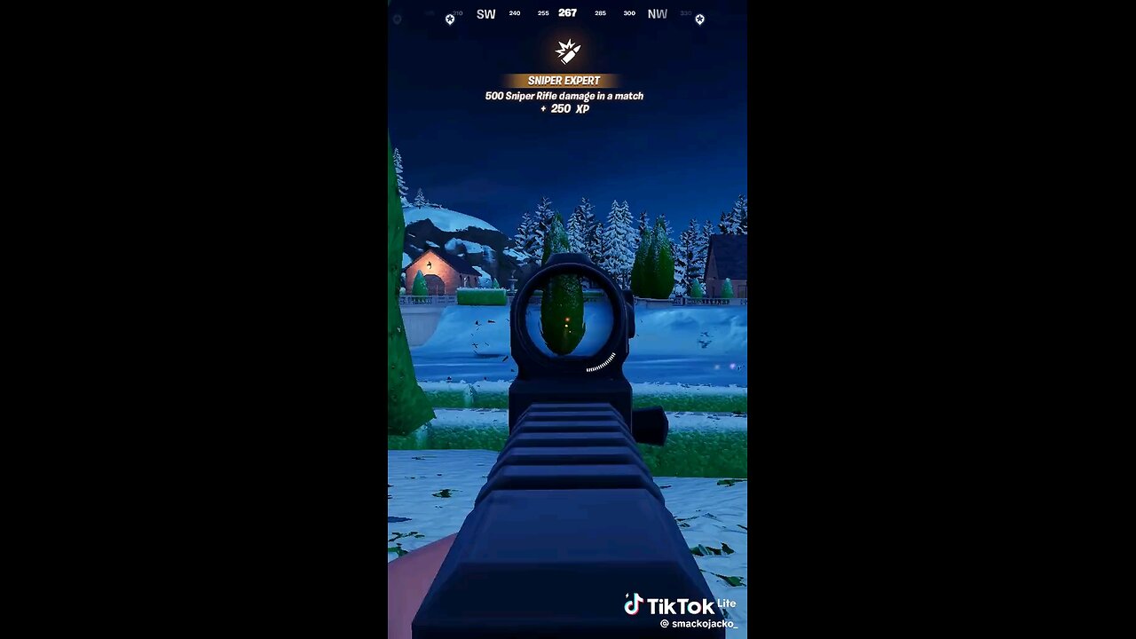 New sniper is insane 😎