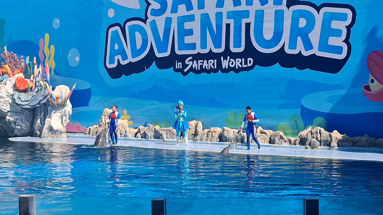 Dolphin Show at Safari World Bangkok