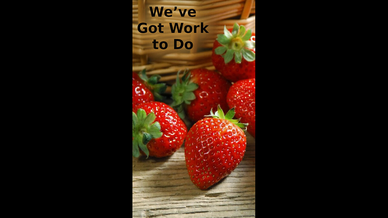 Tanya ❤️ 527 ~ We’ve Got Work to Do